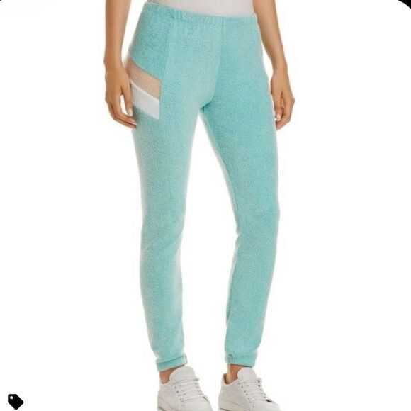 Wildfox Pants - NWT Wildfox Knox Fuzzy Sweatpants in Trance Teal